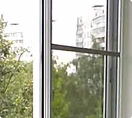 slide-6